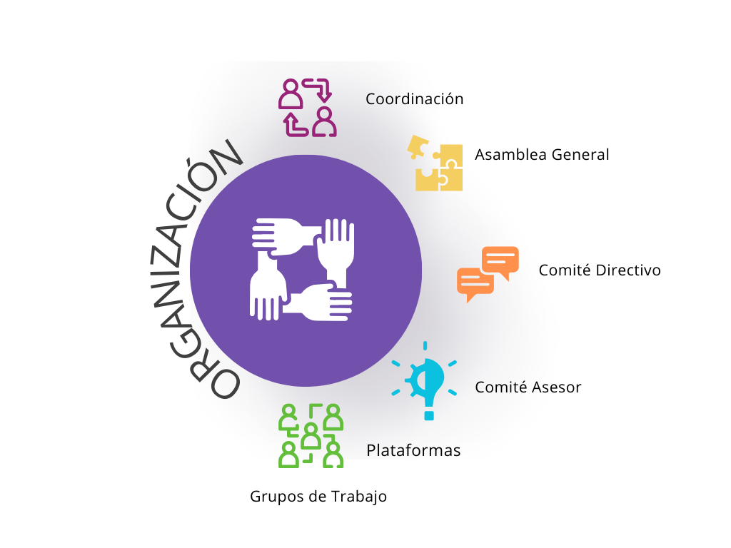 2. Organización (TERAV+).png
