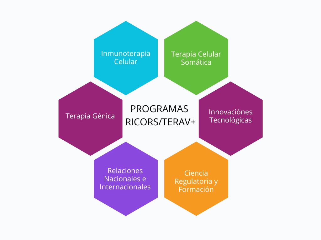 4. Gráfico Programas.png